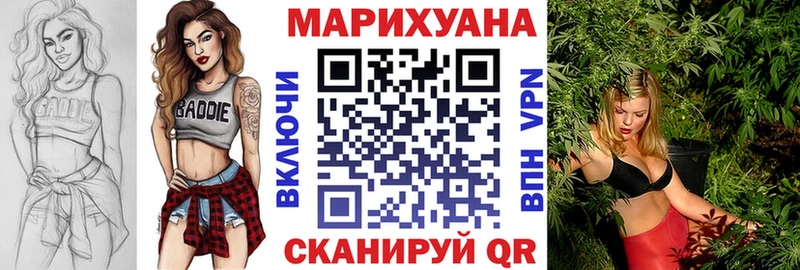 где купить наркоту  сайты даркнета официальный сайт  Бошки марихуана план  Правдинск 